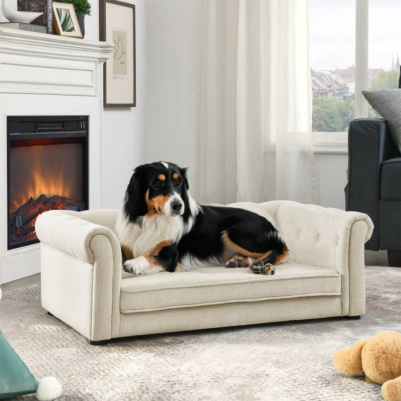 Elevated Dog Bed for Large Dogs - Beige Rectangle Sofa Couch