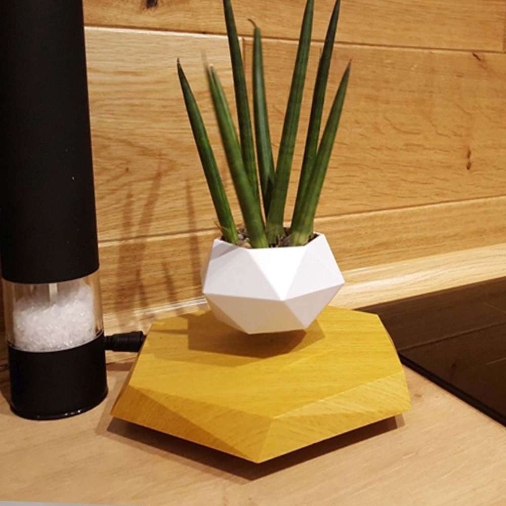 Magnetic Levitating Flower Pot: Bonsai Air Plant Planter for Home Decor