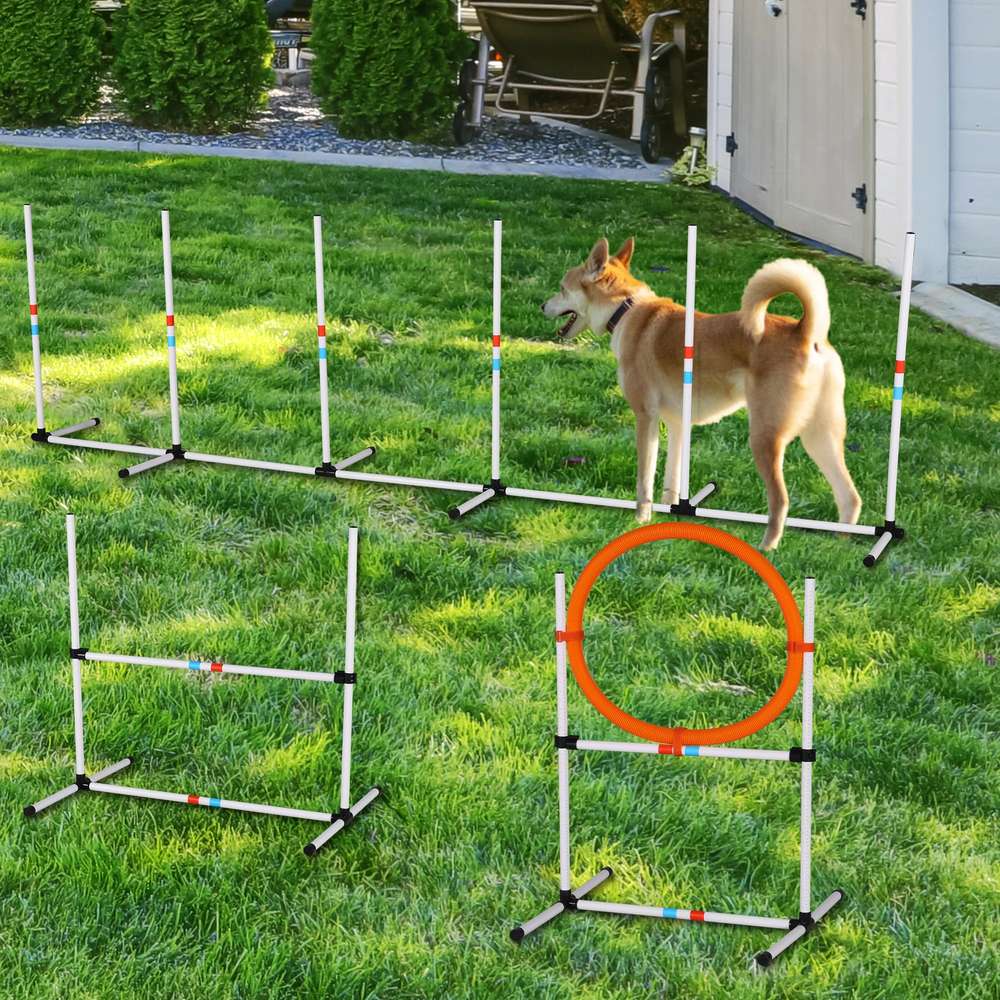 Dog Agility Obstacle Course Set - 3 Piece Training Equipment