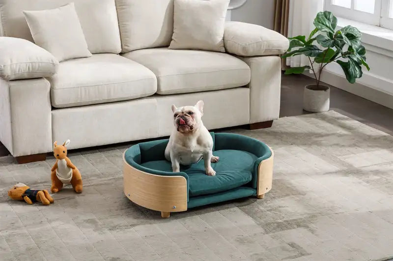 Elevated Dog Bed, Scandinavian Style - Velvet, Dark Green, Solid Wood Legs