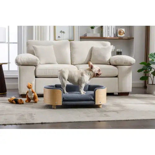 Elevated Dog Bed - Scandinavian Style Pet Sofa, Dark Grey Velvet