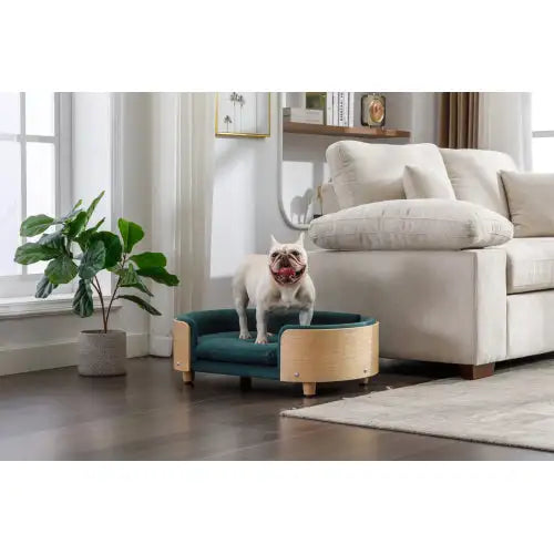 Elevated Dog Bed, Scandinavian Style - Velvet, Dark Green, Solid Wood Legs