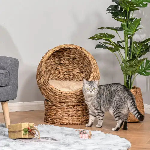 Elevated Cat Bed with Cushion - Handwoven Wicker Cat House, 23.5"H, Brown