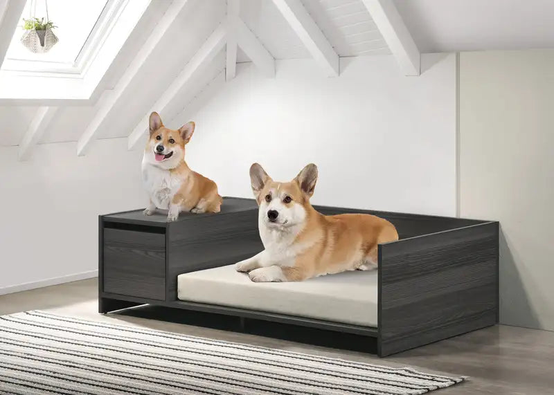 Esme Ash Gray Pet Bed: Large, Comfy Dog Bed w/ Storage