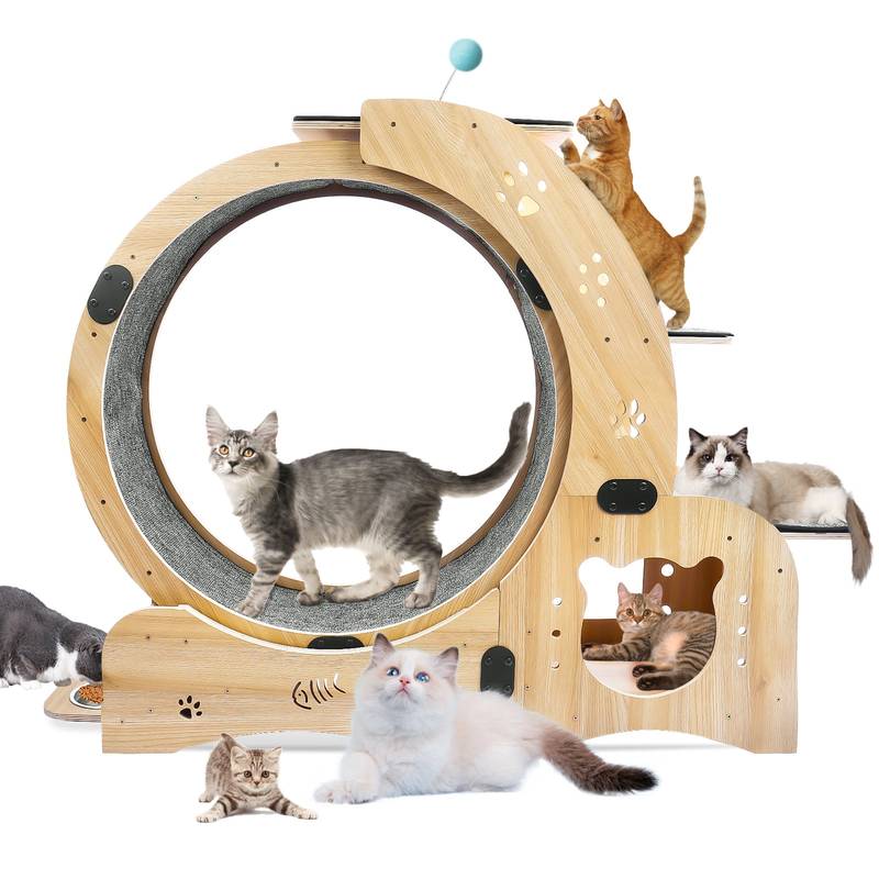 Silent Cat Wheel: 6-in-1 Exercise Wheel & Treadmill for Indoor Cats