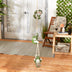 Happy Frogs Hanging Decor - Minihomy