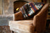 Brown Woven Acrylic Reversable Queen Blanket - Minihomy
