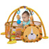 4-in-1 Baby Play Gym with Soft Padding Mat and Arch Design - Minihomy